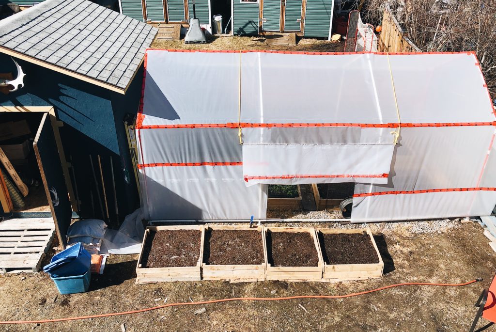 Greenhouse in Yellowknife