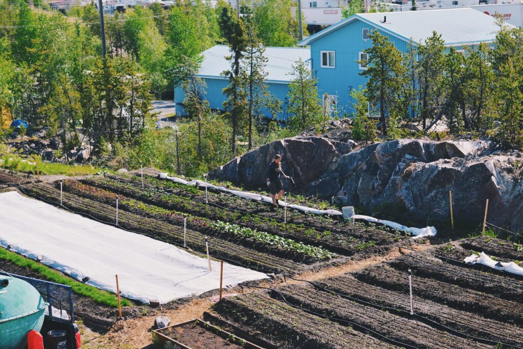 Yellowknife Farm