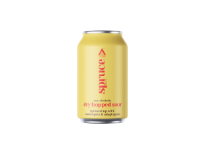 Dry Hopped Sour - Spruce